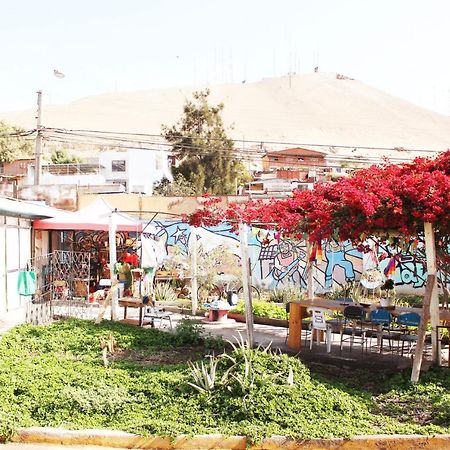 Hostel La Posada Gallo Arica Dış mekan fotoğraf