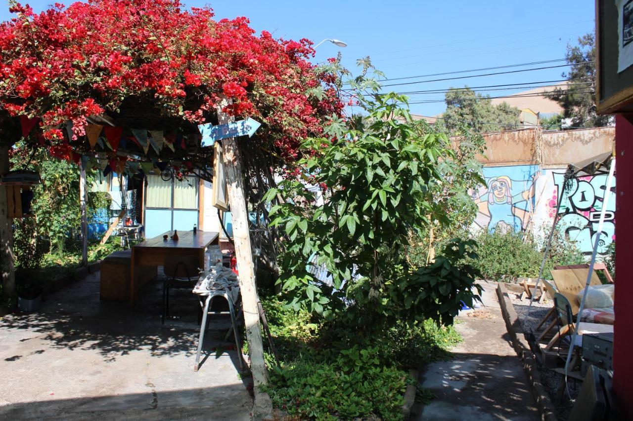 Hostel La Posada Gallo Arica Dış mekan fotoğraf