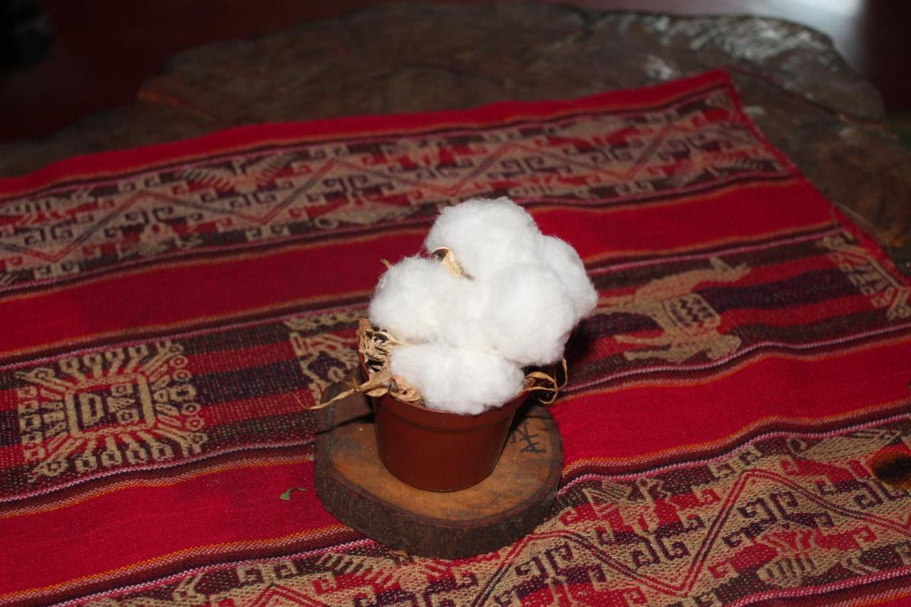 Hostel La Posada Gallo Arica Dış mekan fotoğraf