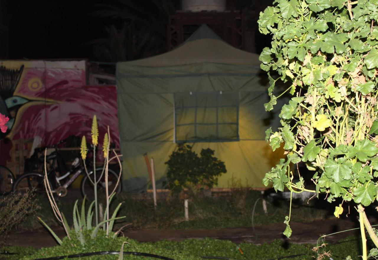 Hostel La Posada Gallo Arica Dış mekan fotoğraf
