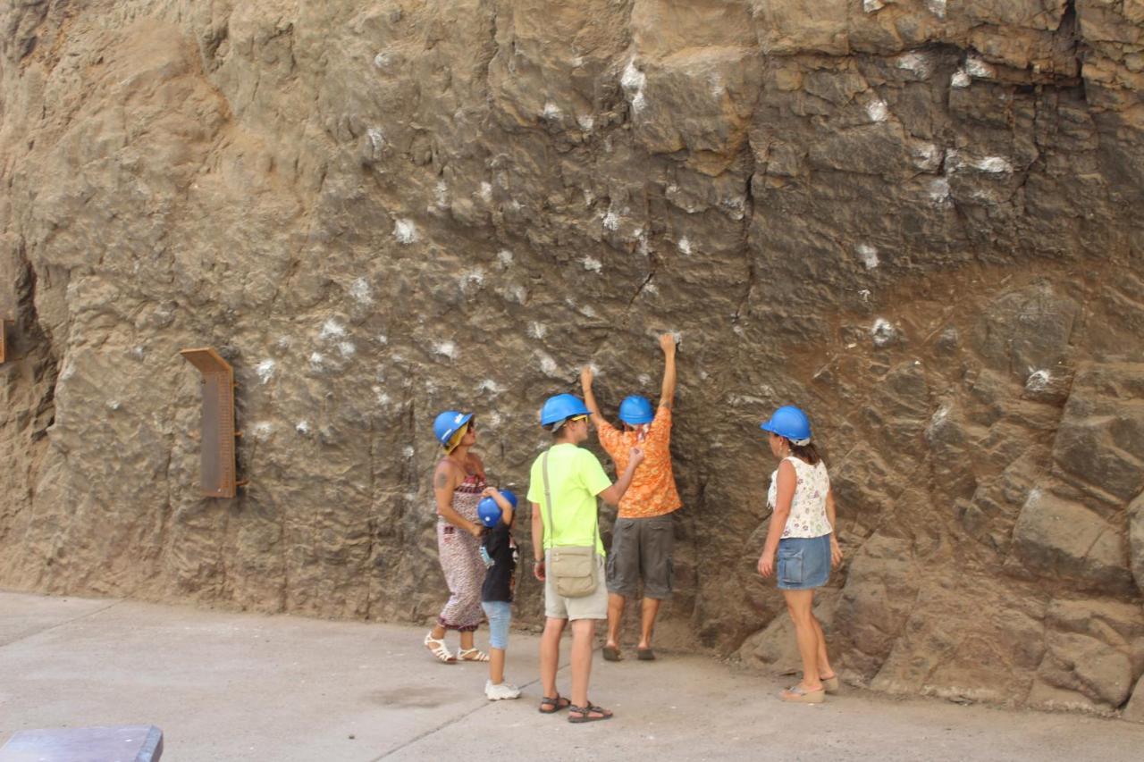 Hostel La Posada Gallo Arica Dış mekan fotoğraf