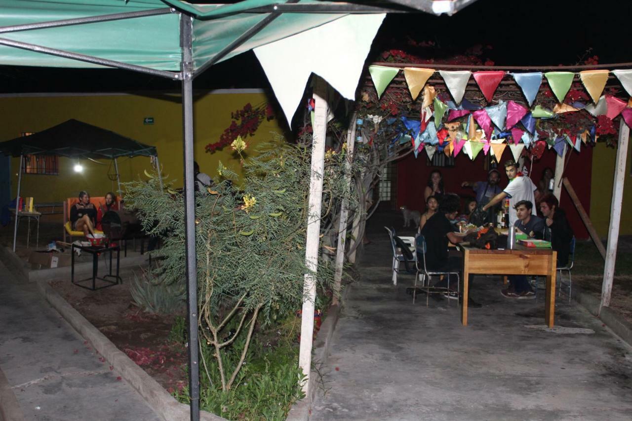 Hostel La Posada Gallo Arica Dış mekan fotoğraf