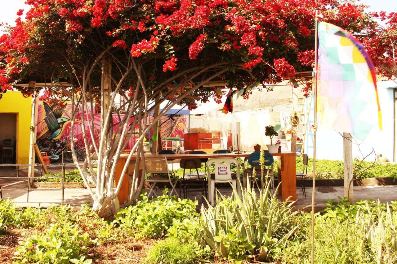 Hostel La Posada Gallo Arica Dış mekan fotoğraf