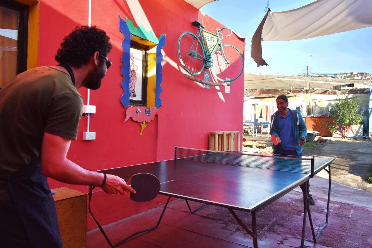 Hostel La Posada Gallo Arica Dış mekan fotoğraf